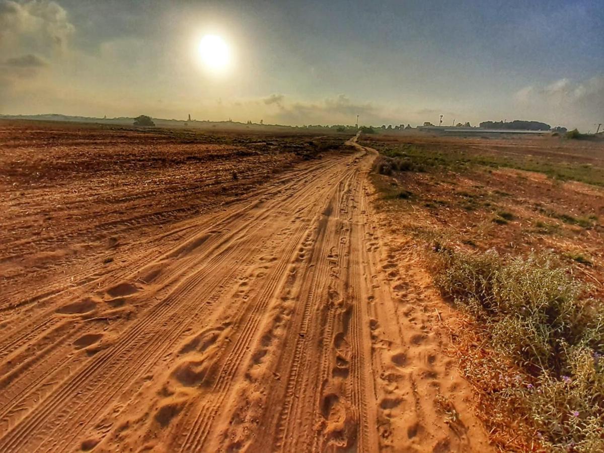 Hatzor Ashdod Kibbutz Hatzor A Room Close To Ashdod מראה חיצוני תמונה